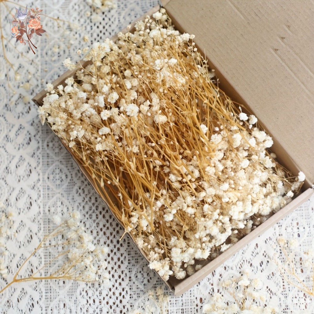 Craft Embellishments - 100 stuks Mini Gedroogde Baby's Breath