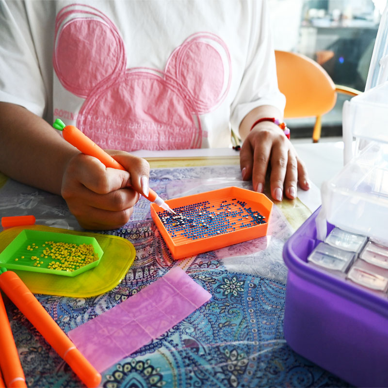 Diamant Borduurgereedschap Wor - Craft Embellishment Storage recensie en prijs
