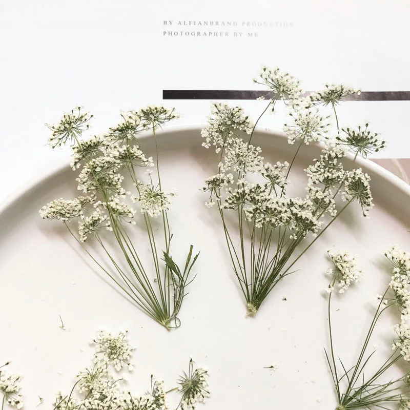 5-7 cm/12 stks, Sneeuw Kleine  - Craft Embellishments recensie en prijs