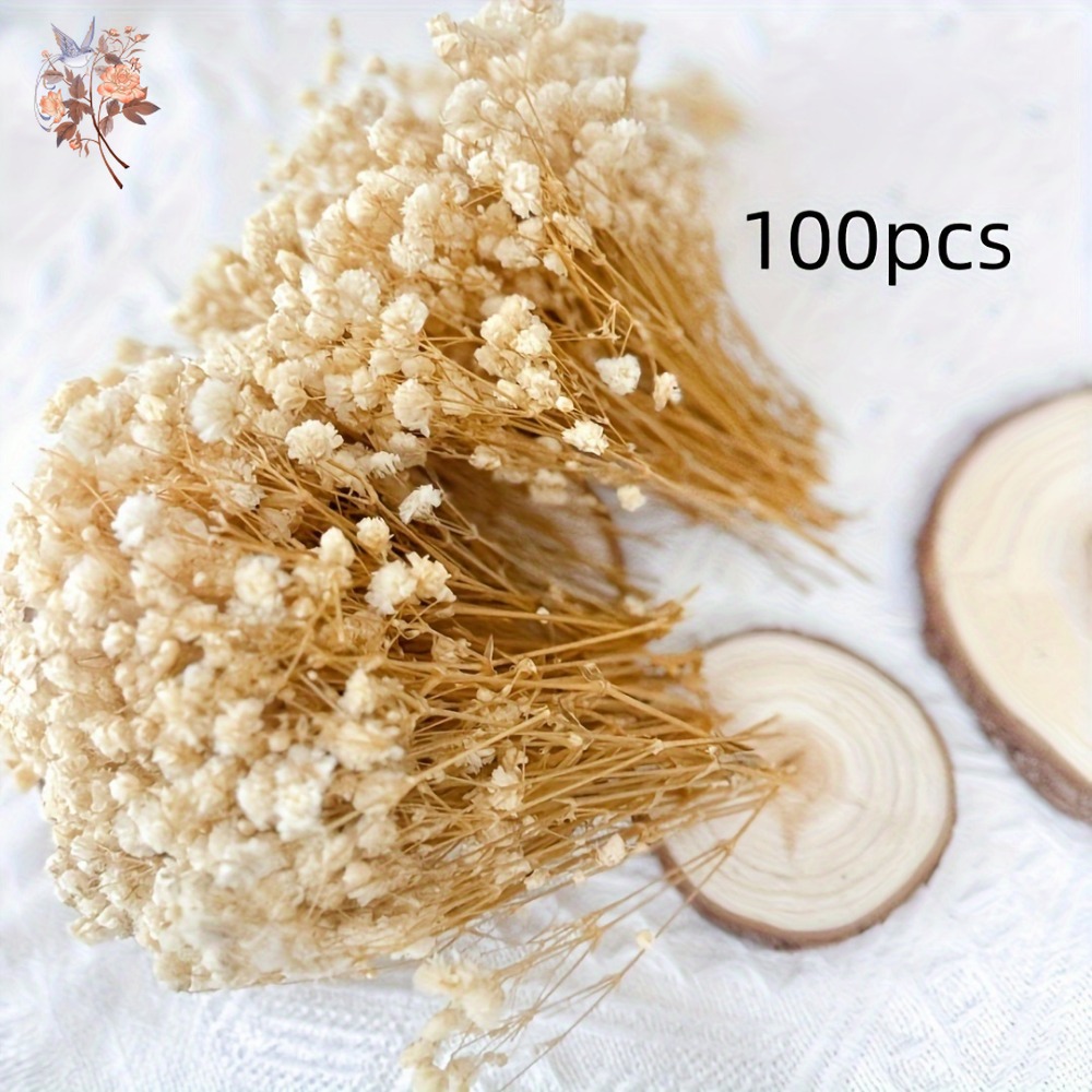 100 stuks Mini Gedroogde Baby' - Craft Embellishments recensie en prijs