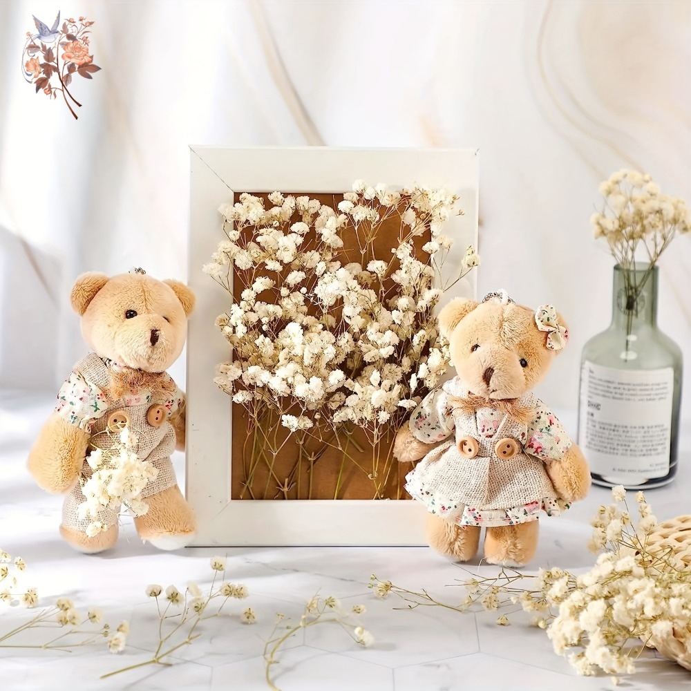 100 stuks Mini Gedroogde Baby' - Craft Embellishments recensie en prijs