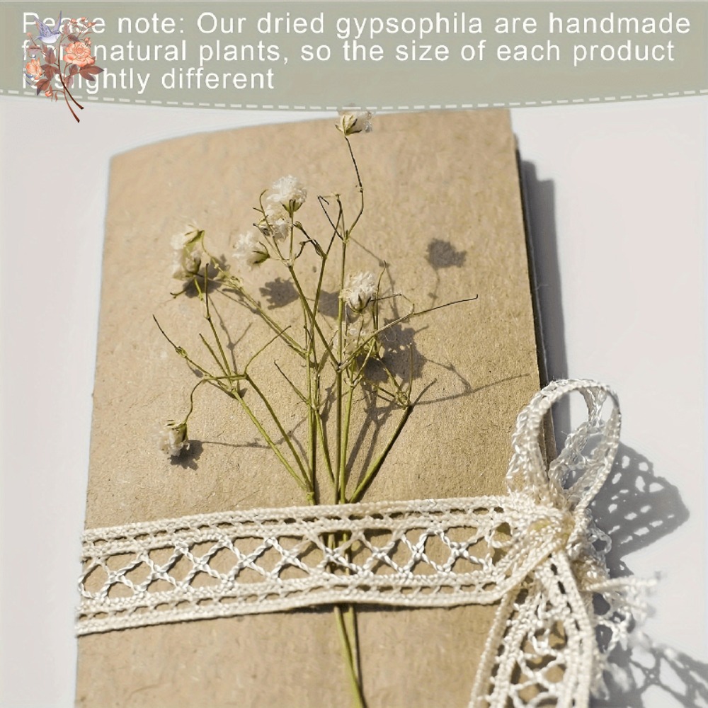 100 stuks Mini Gedroogde Baby' - Craft Embellishments recensie en prijs